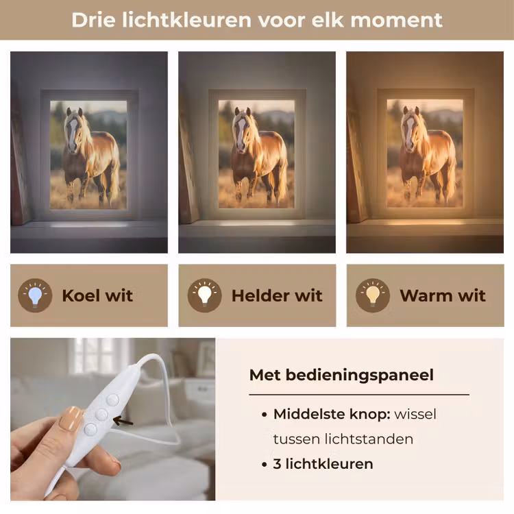 Paard - Bruin - Natuur - Weiland - Dier Light Box met kabel (Tafellamp) klein -USP_lichtkleurNL