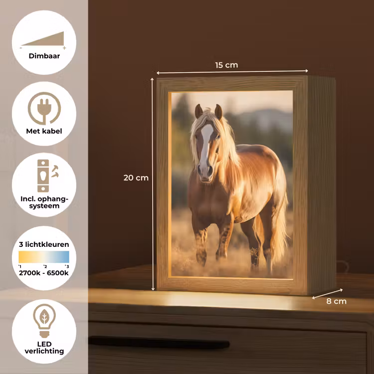 Paard - Bruin - Natuur - Weiland - Dier Light Box met kabel (Tafellamp) klein -USP_NL