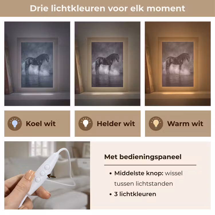 Paard - Magisch - Zwart Light Box met kabel (Tafellamp) klein -USP_lichtkleurNL