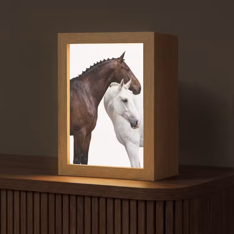 Paard - Modern - Balans Light Box met kabel (Tafellamp) klein -z3d_website