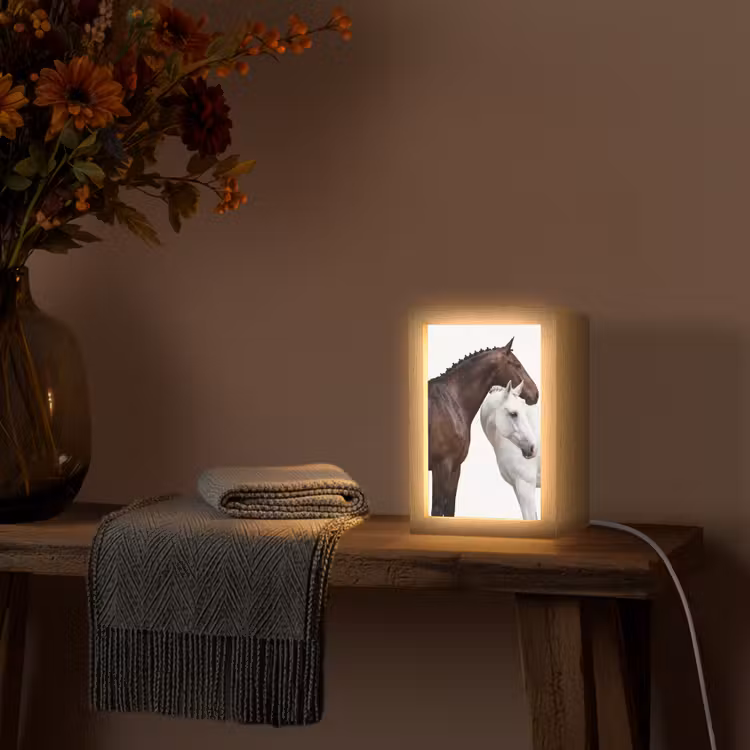 Paard - Modern - Balans Light Box met kabel (Tafellamp) klein -sfeer4