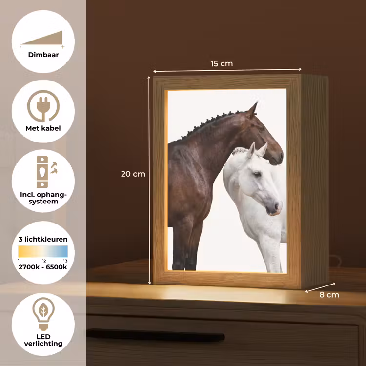 Paard - Modern - Balans Light Box met kabel (Tafellamp) klein -USP_NL