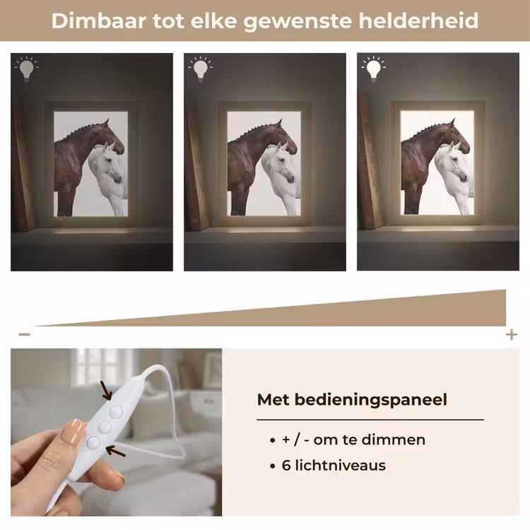 Paard - Modern - Balans Light Box met kabel (Tafellamp) klein -USP_dimbaarNL