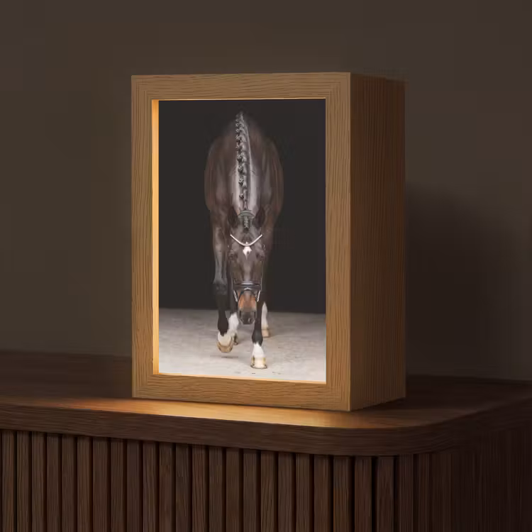 Paard - Modern - Portret Light Box met kabel (Tafellamp) klein -z3d_website
