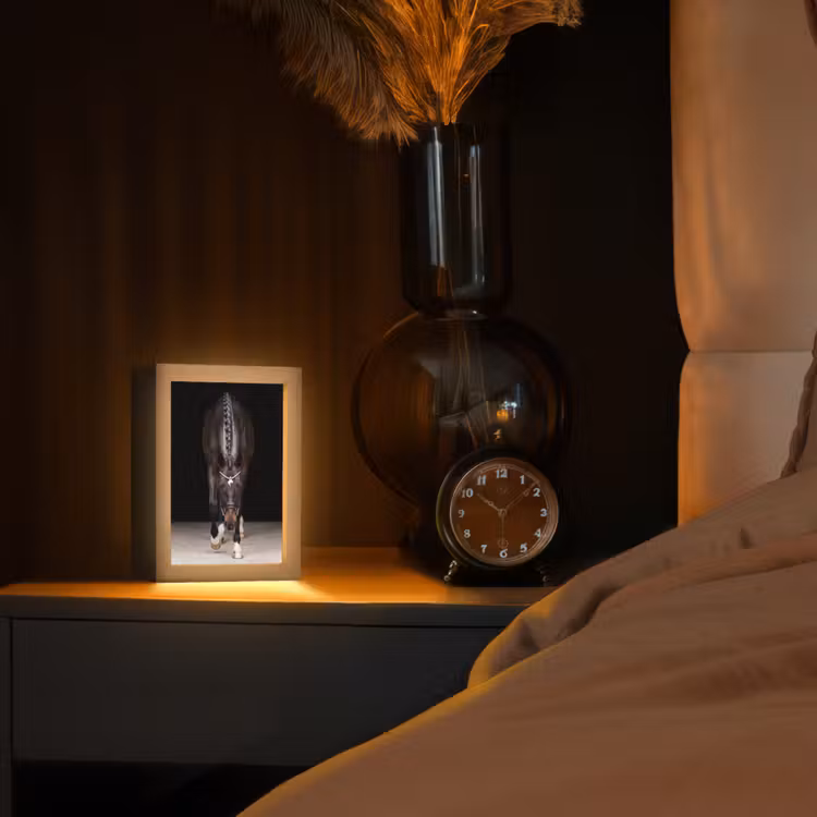 Paard - Modern - Portret Light Box met kabel (Tafellamp) klein -sfeer1
