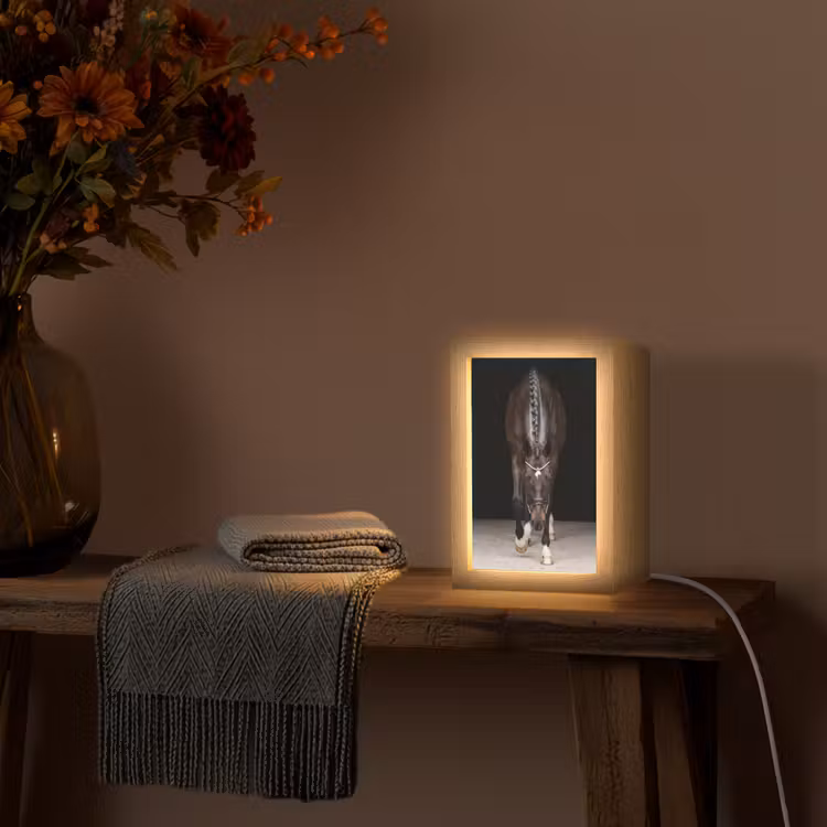 Paard - Modern - Portret Light Box met kabel (Tafellamp) klein -sfeer4