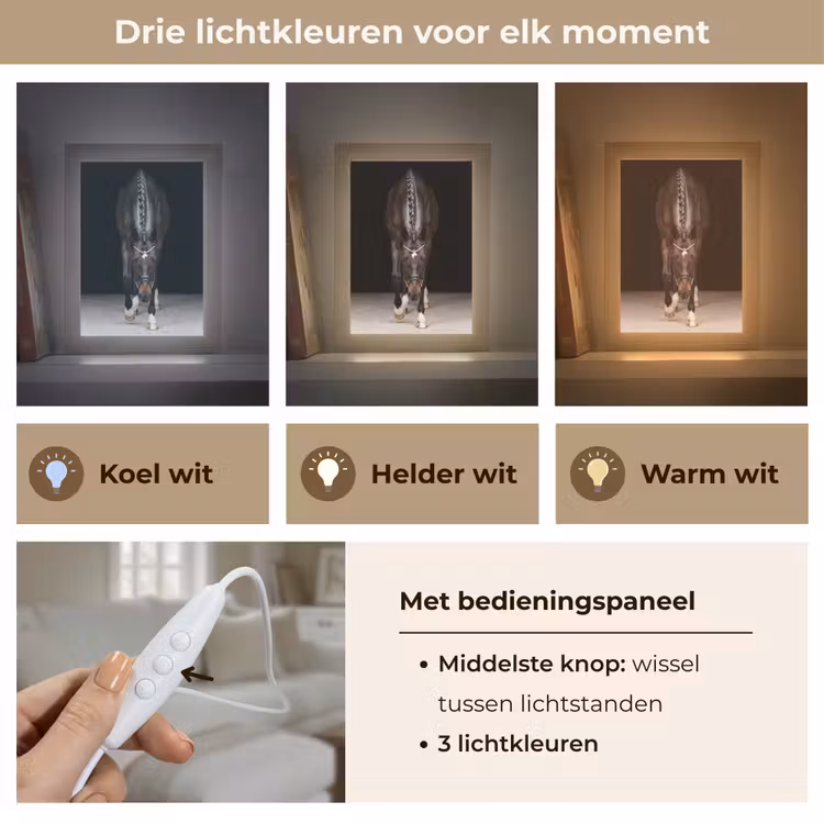 Paard - Modern - Portret Light Box met kabel (Tafellamp) klein -USP_lichtkleurNL