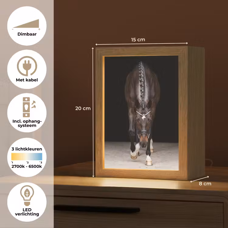 Paard - Modern - Portret Light Box met kabel (Tafellamp) klein -USP_NL