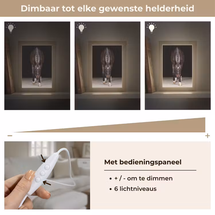 Paard - Modern - Portret Light Box met kabel (Tafellamp) klein -USP_dimbaarNL
