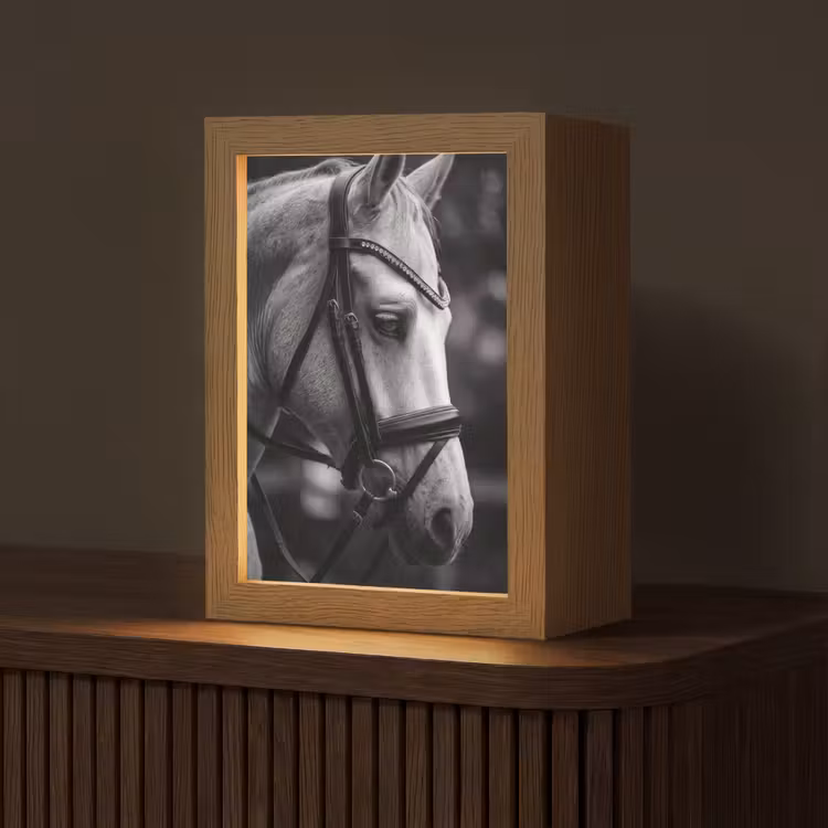 Paard - Schimmel - Portret Light Box met kabel (Tafellamp) klein -z3d_website