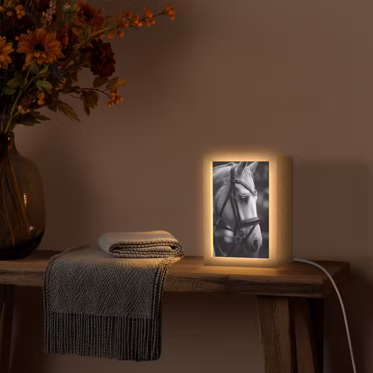Paard - Schimmel - Portret Light Box met kabel (Tafellamp) klein -sfeer4