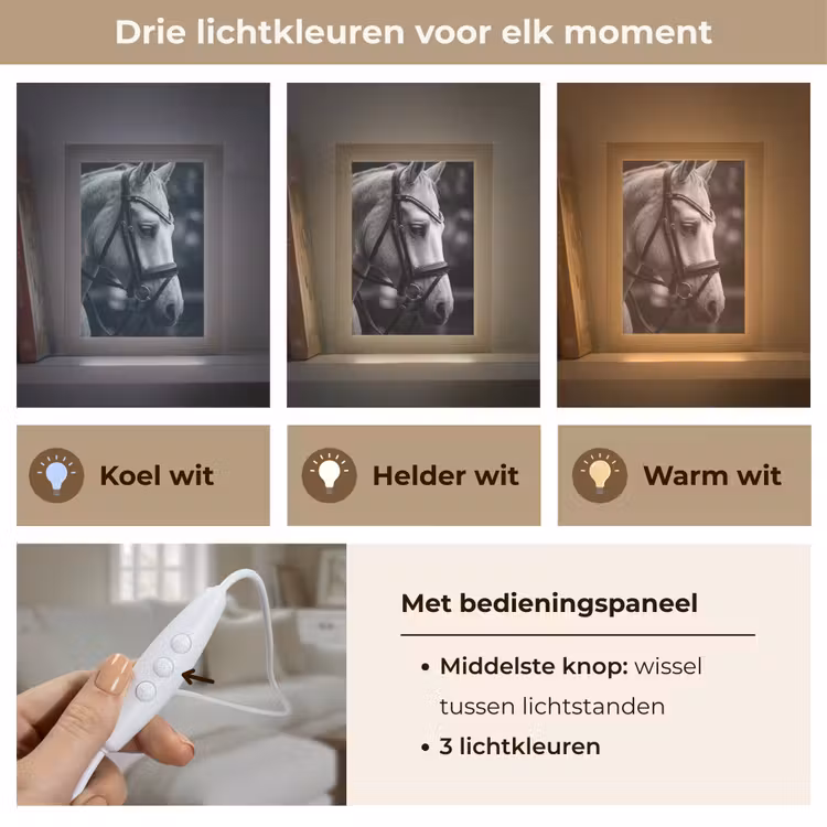 Paard - Schimmel - Portret Light Box met kabel (Tafellamp) klein -USP_lichtkleurNL