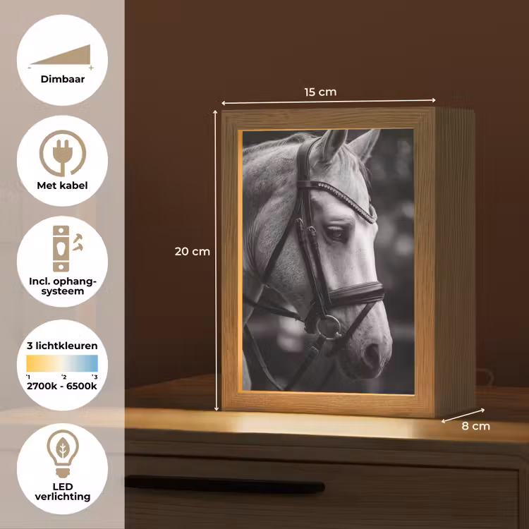 Paard - Schimmel - Portret Light Box met kabel (Tafellamp) klein -USP_NL