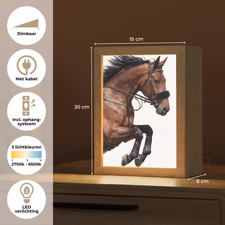 Paard - Springen - Modern Light Box met kabel (Tafellamp) klein -USP_NL