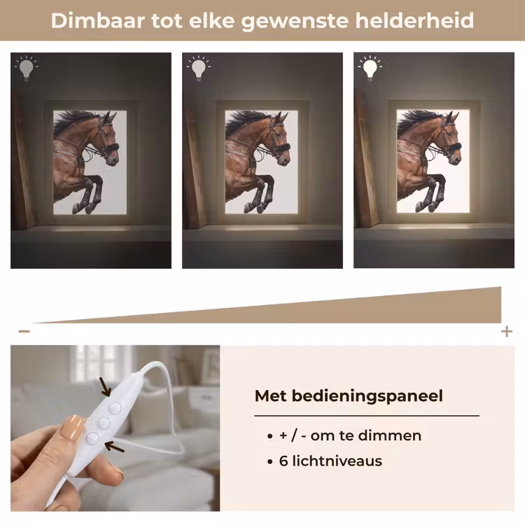 Paard - Springen - Modern Light Box met kabel (Tafellamp) klein -USP_dimbaarNL