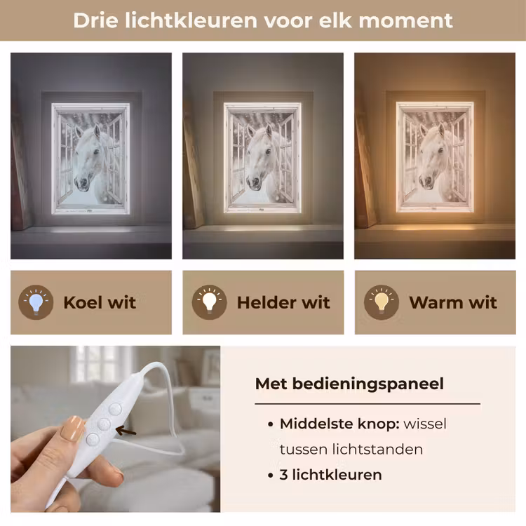 Paard - Wit - Winter - Sneeuw - Doorkijk - Dieren Light Box met kabel (Tafellamp) klein -USP_lichtkleurNL