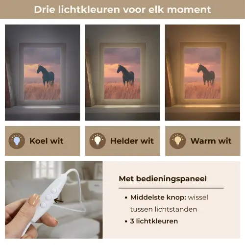 Paard - Wolken - Open veld Light Box met kabel (Tafellamp) klein -USP_lichtkleurNL