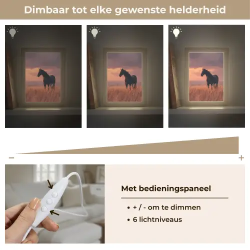 Paard - Wolken - Open veld Light Box met kabel (Tafellamp) klein -USP_dimbaarNL