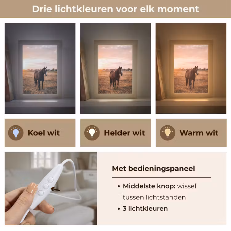 Paard - Zonsondergang - Bruin Light Box met kabel (Tafellamp) klein -USP_lichtkleurNL