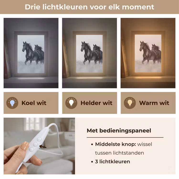 Paarden - Gras - Zwart - Wit Light Box met kabel (Tafellamp) klein -USP_lichtkleurNL