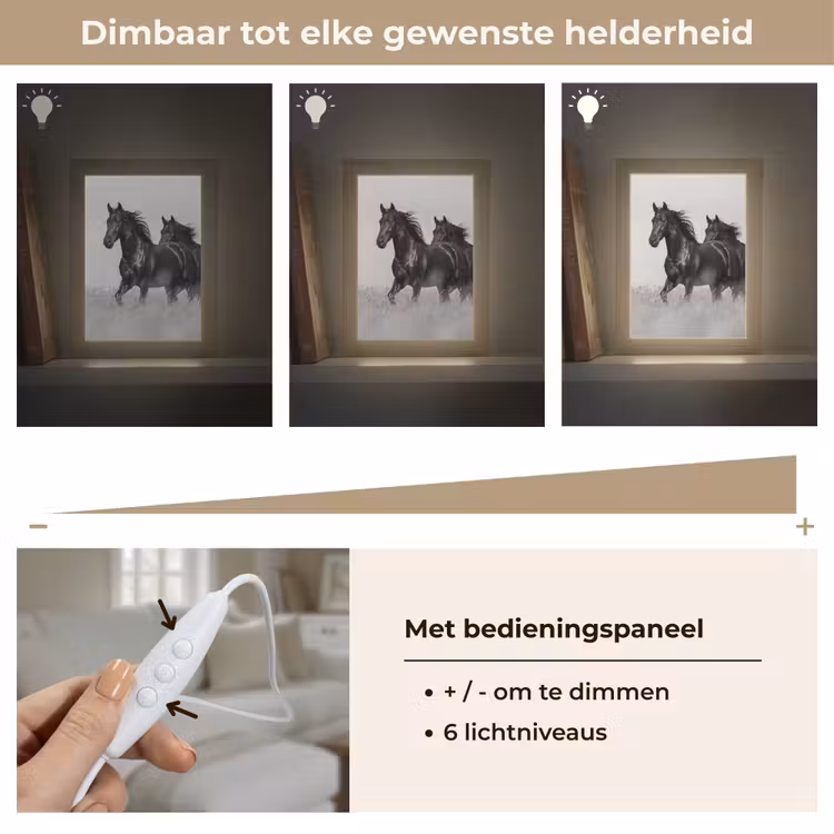 Paarden - Gras - Zwart - Wit Light Box met kabel (Tafellamp) klein -USP_dimbaarNL