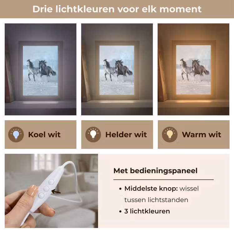 Paarden - Winter - Dieren - Natuur - Sneeuw Light Box met kabel (Tafellamp) klein -USP_lichtkleurNL