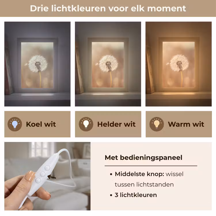 Paardenbloem - Beige - Natuur - Bloem Light Box met kabel (Tafellamp) klein -USP_lichtkleurNL