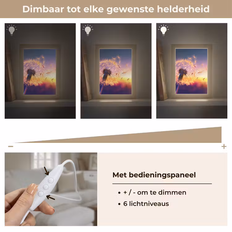 Paardenbloem - Bloemen - Zonsondergang - Horizon - Nacht Light Box met kabel (Tafellamp) klein -USP_dimbaarNL