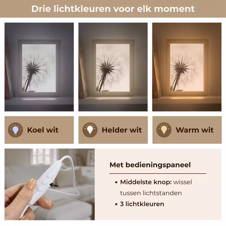 Paardenbloem - Minimalistisch - Wit Light Box met kabel (Tafellamp) klein -USP_lichtkleurNL