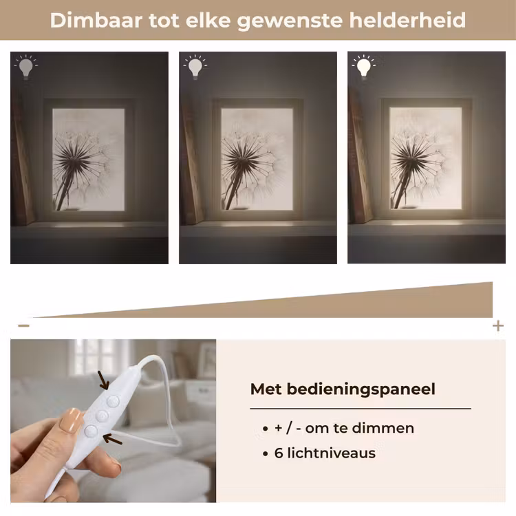 Paardenbloem - Minimalistisch - Wit Light Box met kabel (Tafellamp) klein -USP_dimbaarNL