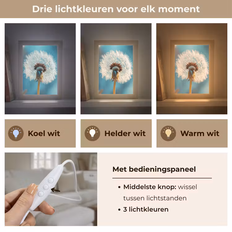 Paardenbloem - Natuur - Bloemen - Blauw Light Box met kabel (Tafellamp) klein -USP_lichtkleurNL