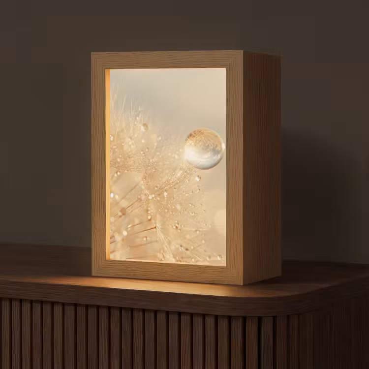 Paardenbloem - Water - Natuur - Planten - Modern Light Box met kabel (Tafellamp) klein -z3d_website