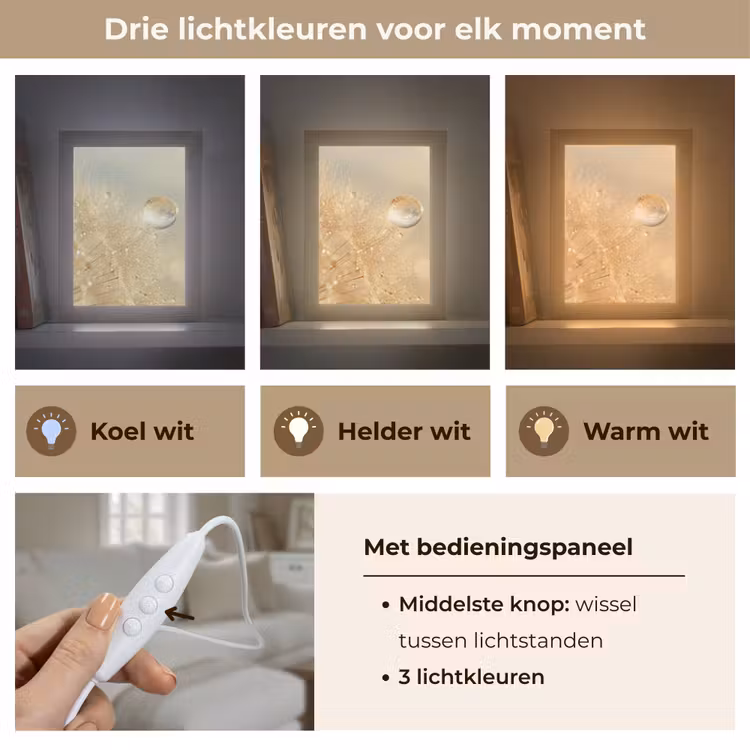 Paardenbloem - Water - Natuur - Planten - Modern Light Box met kabel (Tafellamp) klein -USP_lichtkleurNL