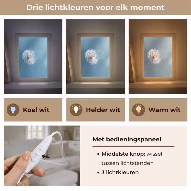 Paardenbloem - Wind - Blauw Light Box met kabel (Tafellamp) klein -USP_lichtkleurNL