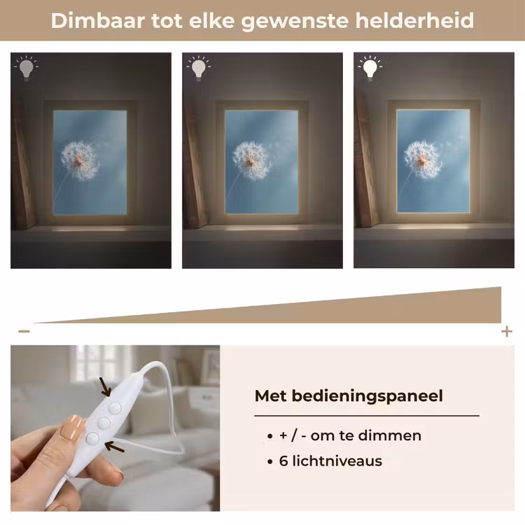 Paardenbloem - Wind - Blauw Light Box met kabel (Tafellamp) klein -USP_dimbaarNL