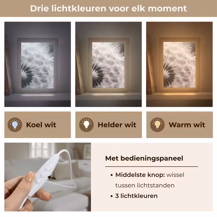 Paardenbloem - Zwart - Wit Light Box met kabel (Tafellamp) klein -USP_lichtkleurNL