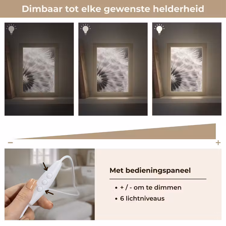 Paardenbloem - Zwart - Wit Light Box met kabel (Tafellamp) klein -USP_dimbaarNL