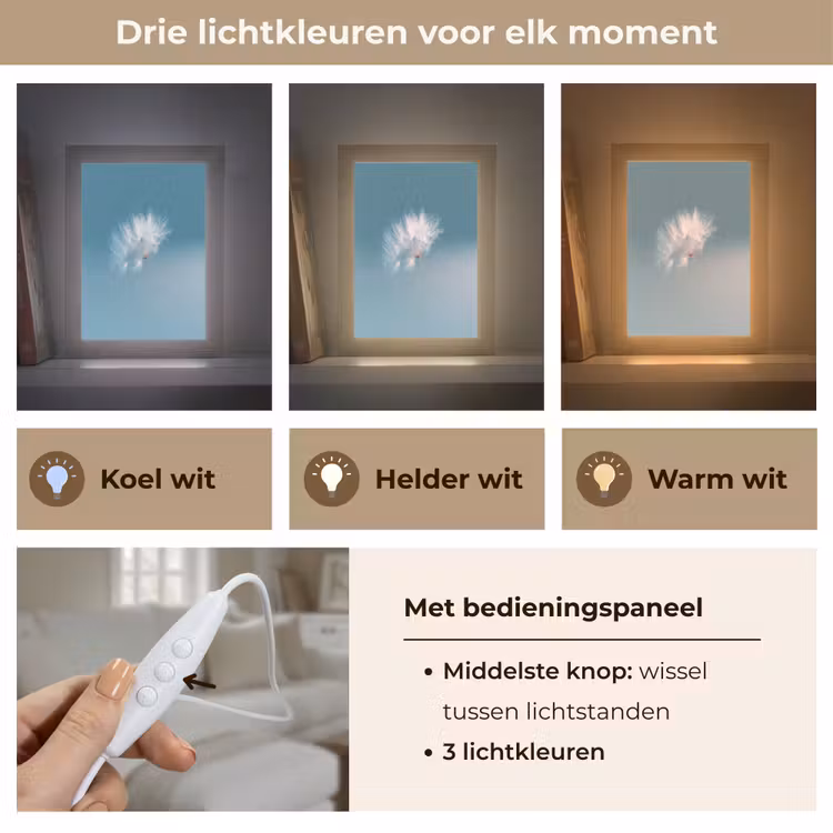 Paardenbloempluisje - Blauw - Lucht Light Box met kabel (Tafellamp) klein -USP_lichtkleurNL