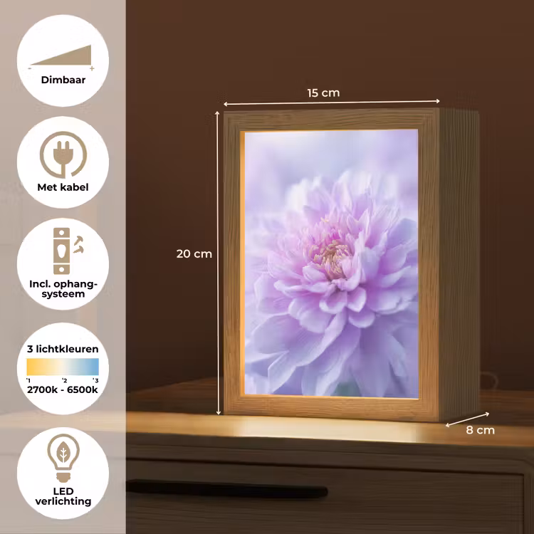 Paars - Dahlia - Dromerig Light Box met kabel (Tafellamp) klein -USP_NL
