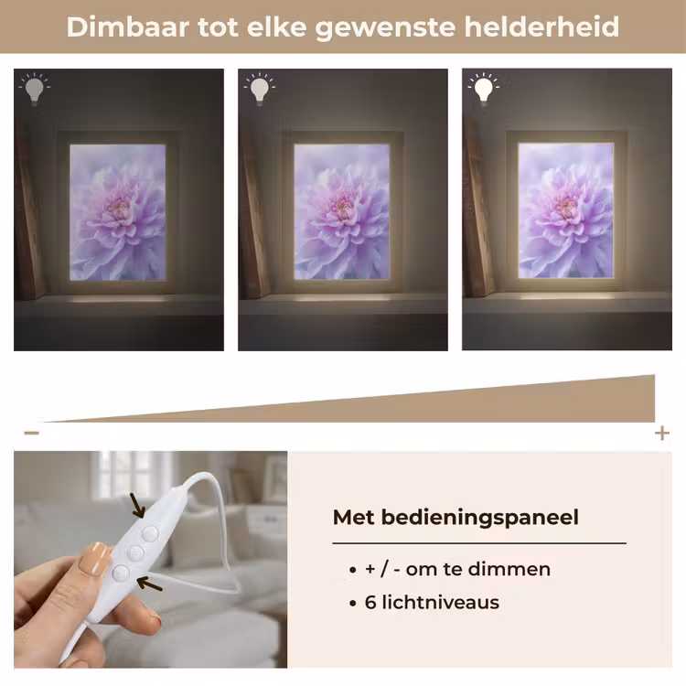 Paars - Dahlia - Dromerig Light Box met kabel (Tafellamp) klein -USP_dimbaarNL