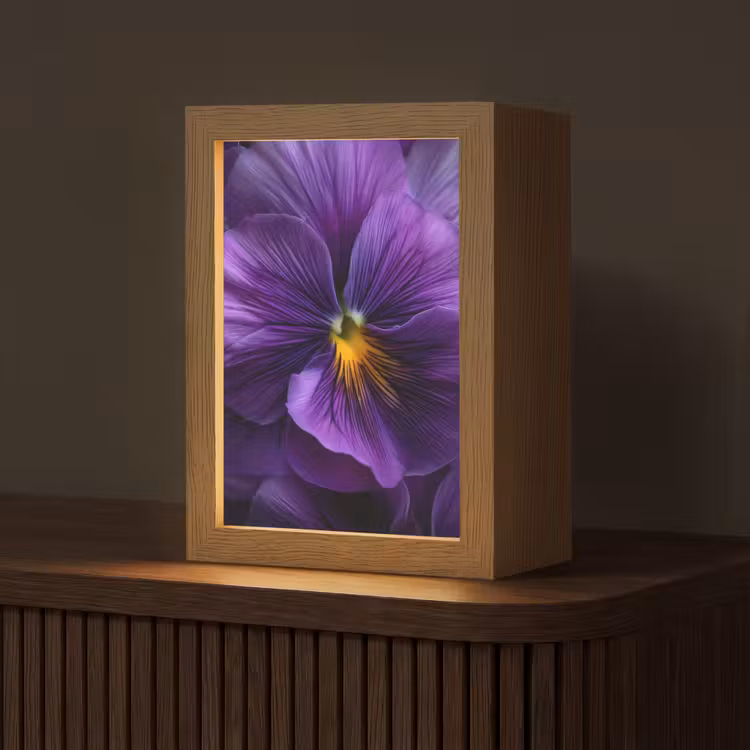 Paars - Viool - Diepte Light Box met kabel (Tafellamp) klein -z3d_website