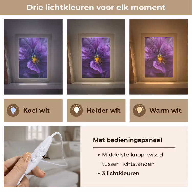 Paars - Viool - Diepte Light Box met kabel (Tafellamp) klein -USP_lichtkleurNL