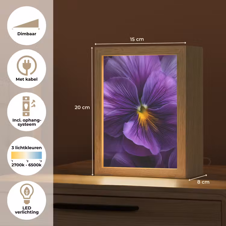 Paars - Viool - Diepte Light Box met kabel (Tafellamp) klein -USP_NL
