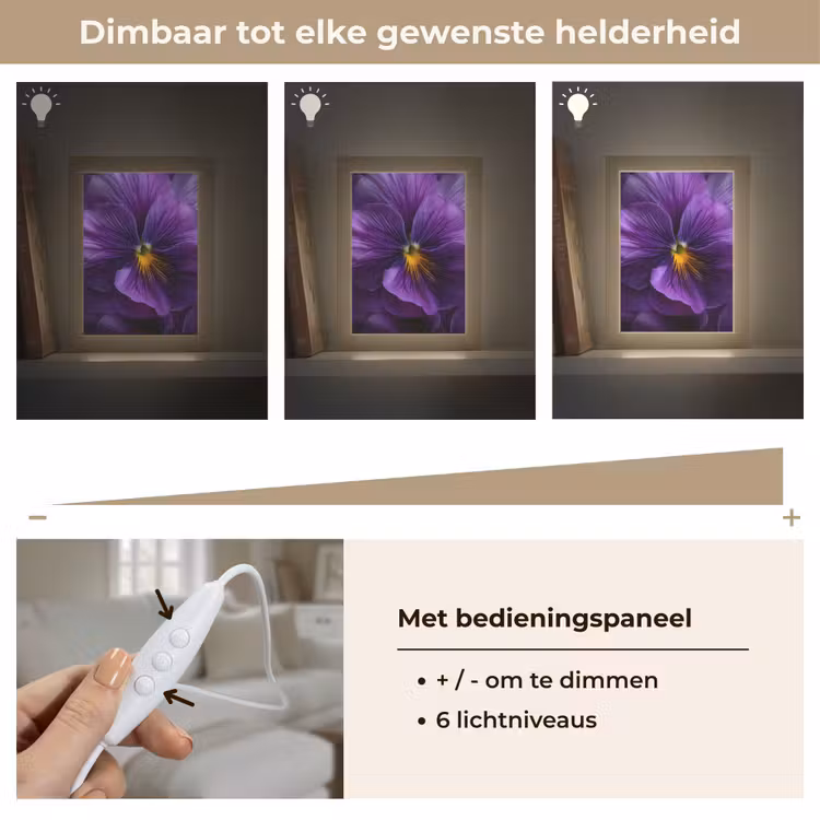 Paars - Viool - Diepte Light Box met kabel (Tafellamp) klein -USP_dimbaarNL
