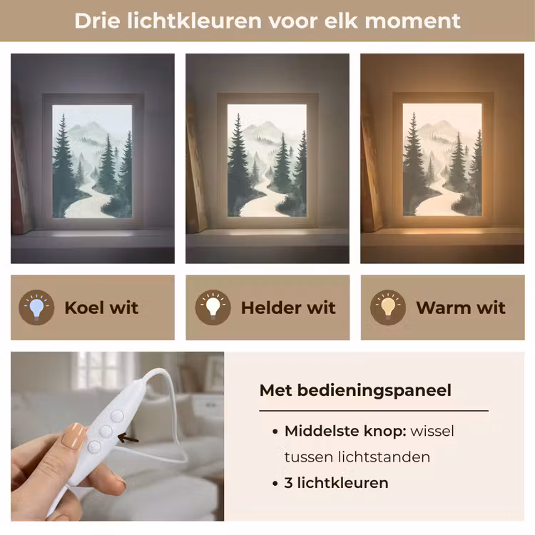 Pad - Bomen - Bos - Illustratie Light Box met kabel (Tafellamp) klein -USP_lichtkleurNL