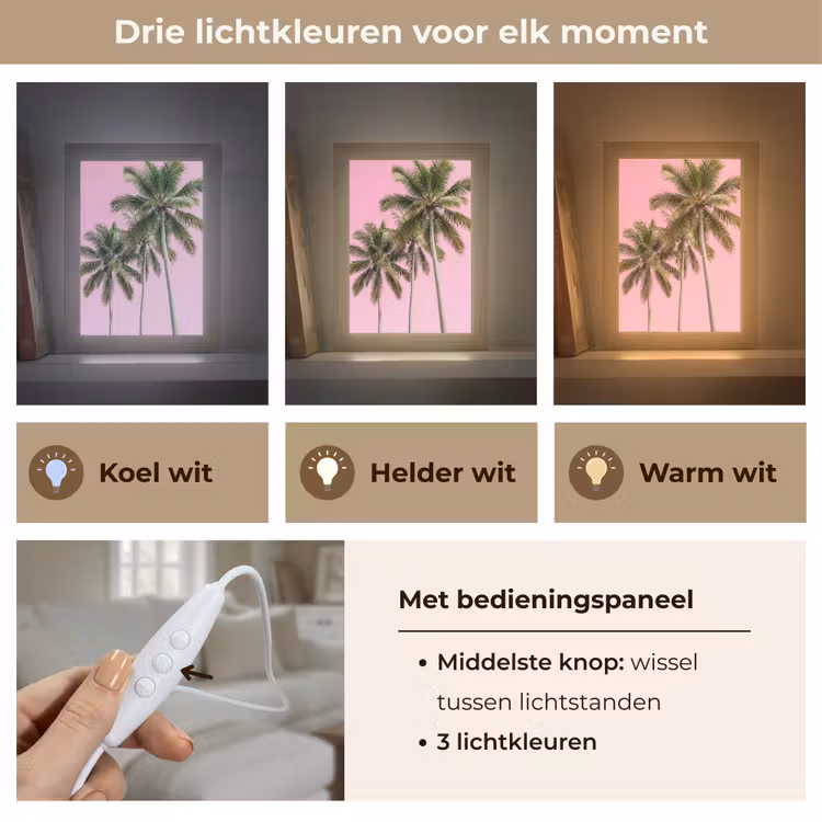 Palmboom - Tropisch - Pink Light Box met kabel (Tafellamp) klein -USP_lichtkleurNL