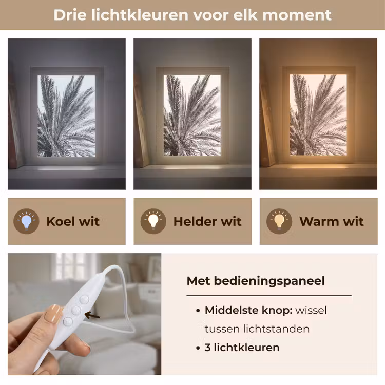 Palmboom - Tropisch - Zwart - Wit Light Box met kabel (Tafellamp) klein -USP_lichtkleurNL