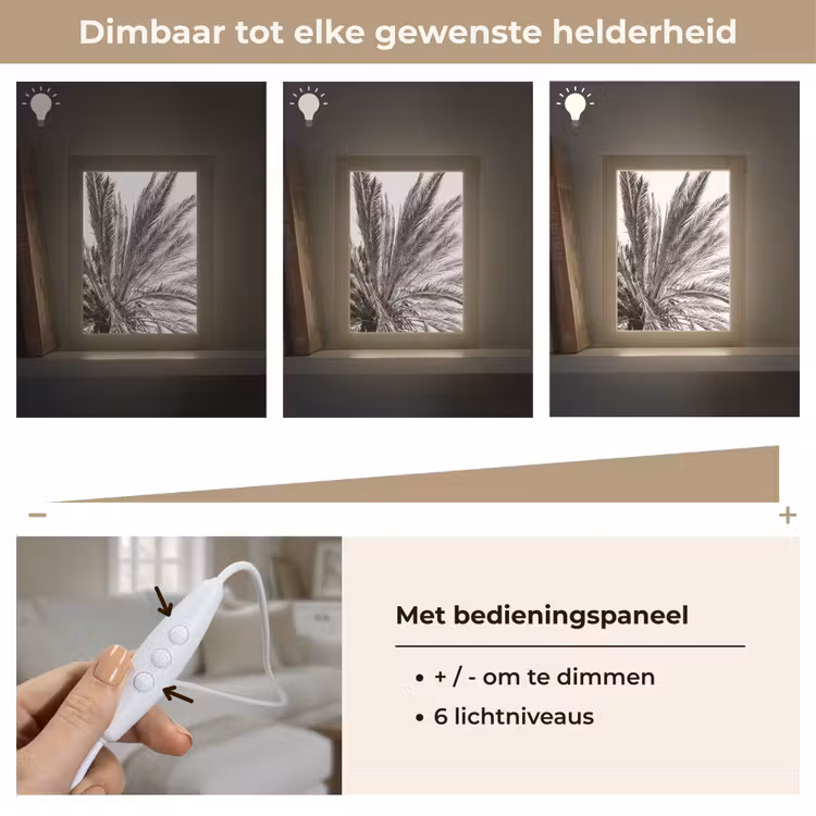 Palmboom - Tropisch - Zwart - Wit Light Box met kabel (Tafellamp) klein -USP_dimbaarNL