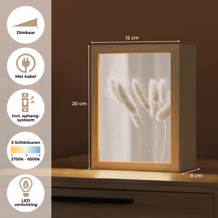 Pampasgras - Pluim - Wit Light Box met kabel (Tafellamp) klein -USP_NL