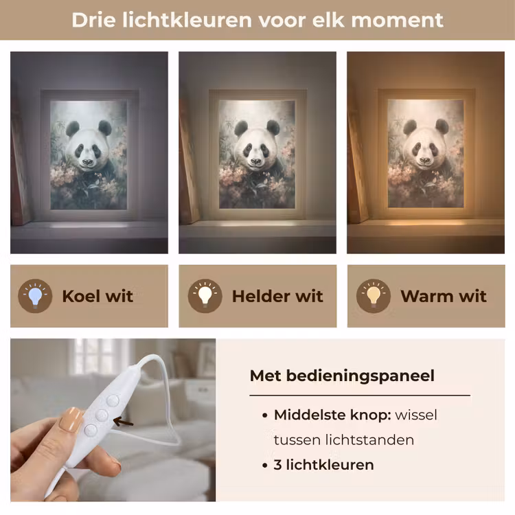 Panda - Dieren - Bloemen - Planten Light Box met kabel (Tafellamp) klein -USP_lichtkleurNL